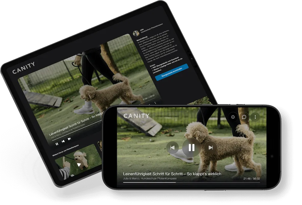 Screenshot der Canity Video-Modul Verwaltung mit Online-Inhalten