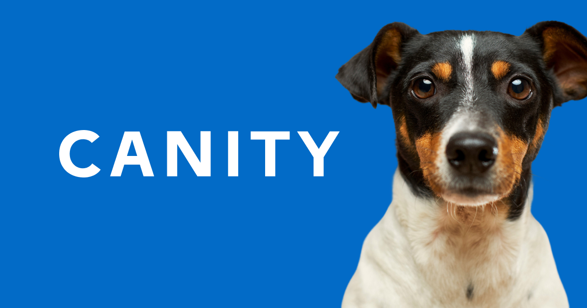 CANITY – Die smarte Softwarelösung für Hundetrainer:innen